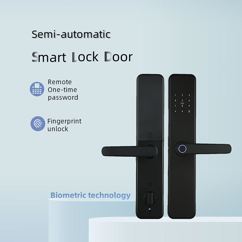 Blocco semiconduttore password per impronte digitali